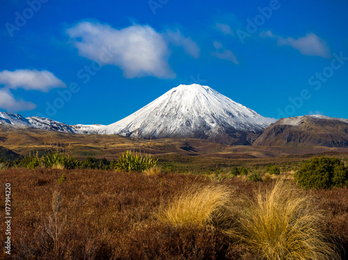 Snow covered volcano with grassy meadow on a sunny day