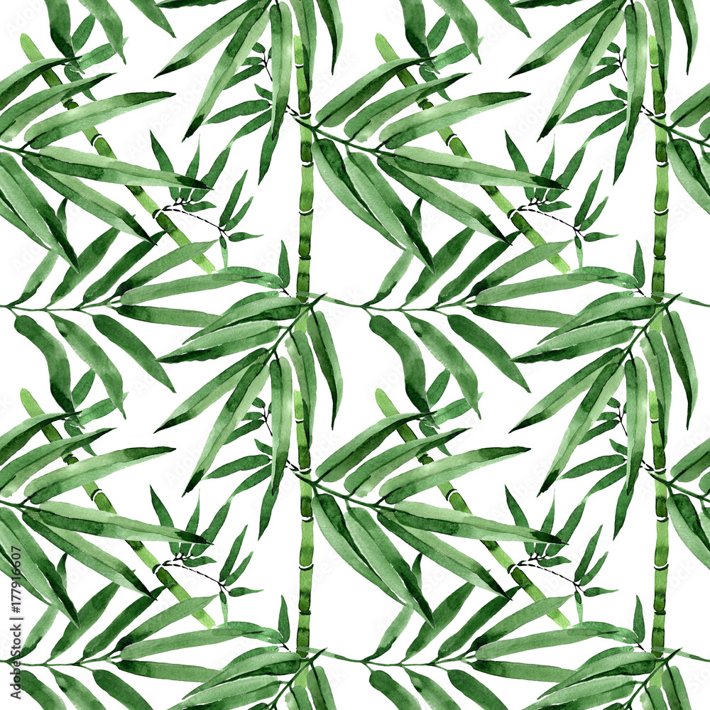 Naklejka Tropical leaves bamboo tree pattern in a watercolor style. Aquarelle wild leaves for background, texture, wrapper pattern, frame or border.