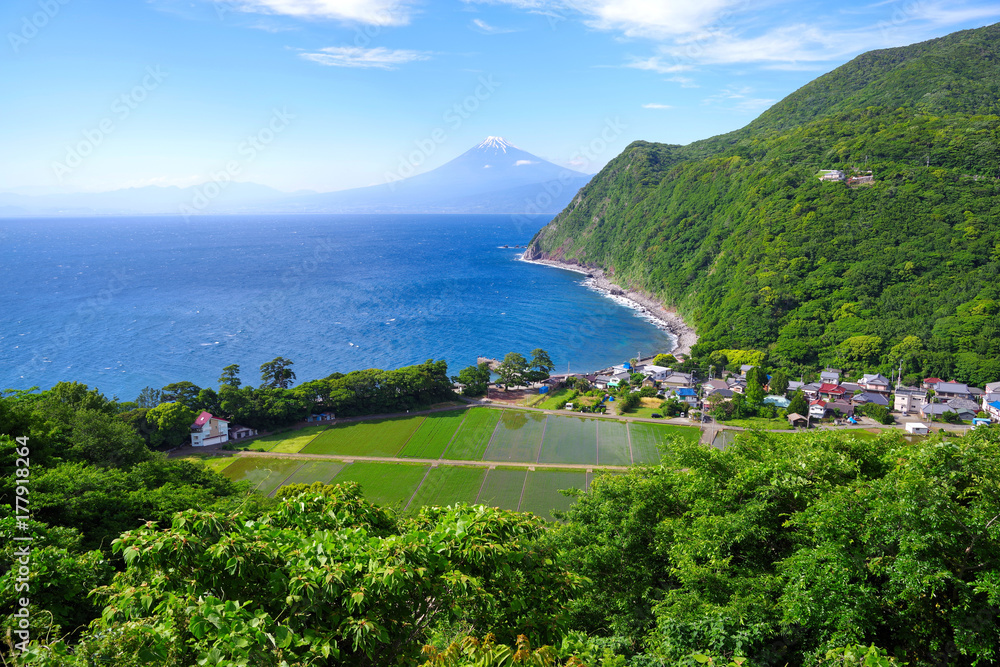 西伊豆の海岸と富士山
