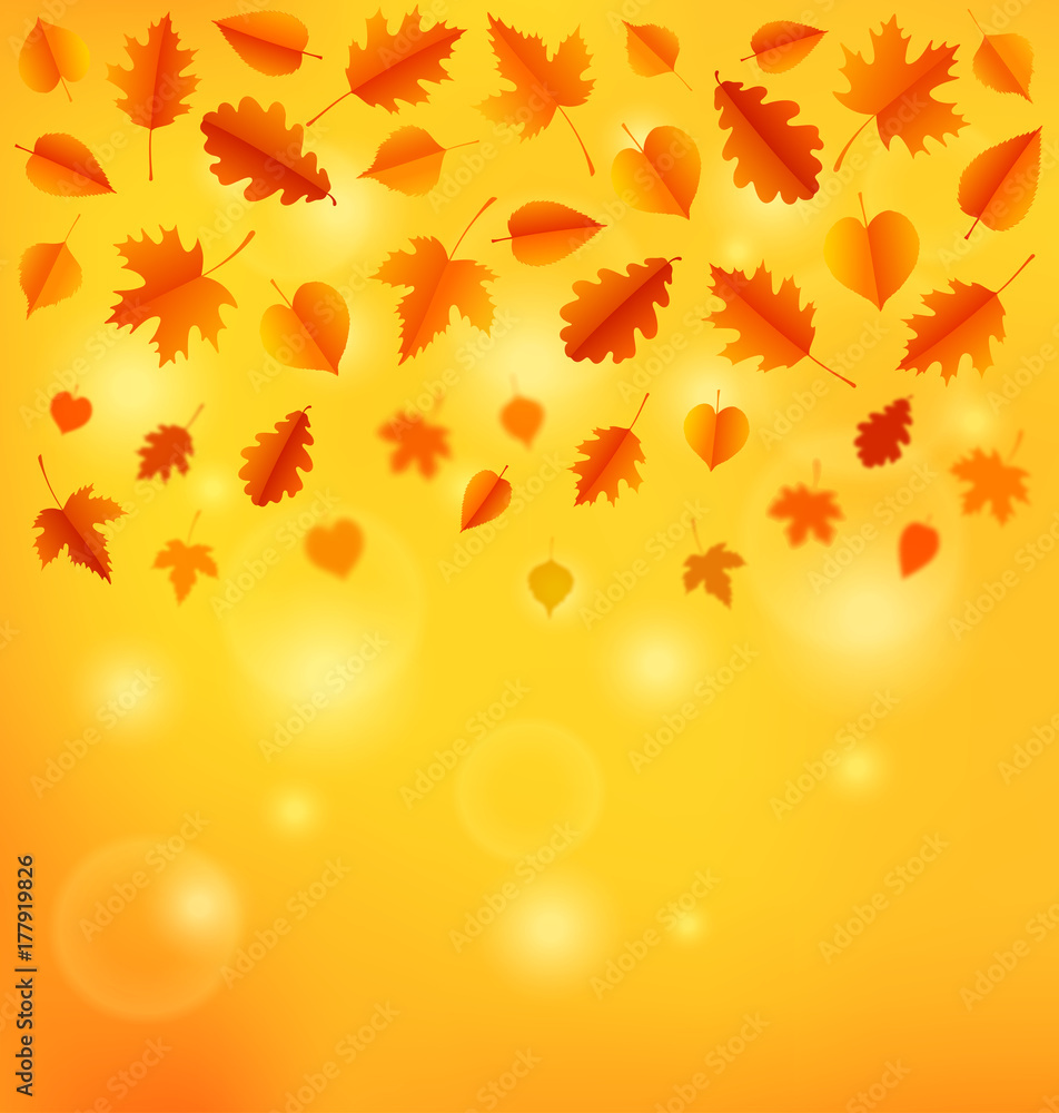 Autumn background with leaves.