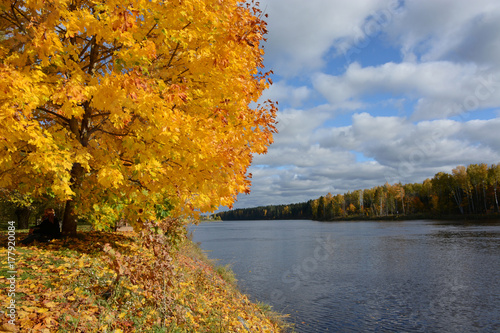 Autumn landscape with river. Golden autumn. A Sunny autumn day