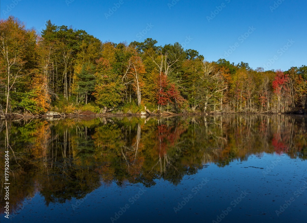 Fototapeta premium Blue sky