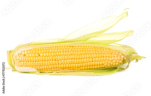 Corn cobs on white background.