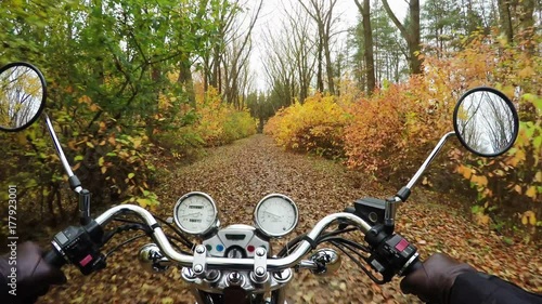 4K. Fantastic motorcycle ride on the road in orange autumn forest, wide point of view of rider. Classic cruiser/chopper forever!