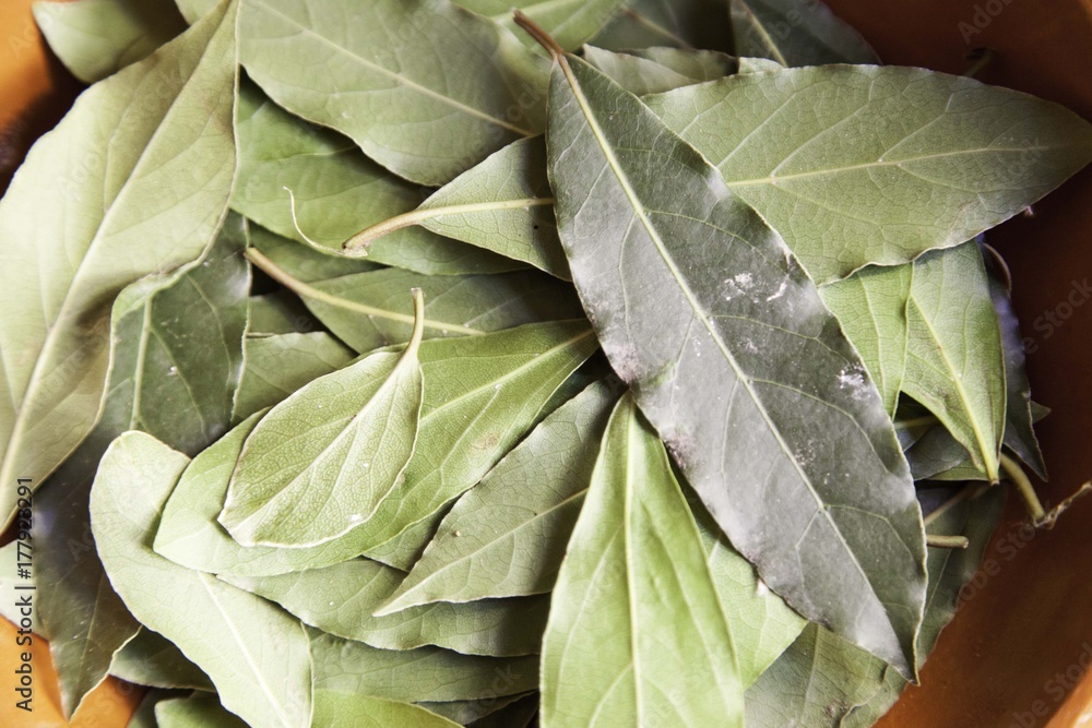 Dried bay leaves Dried bay leaves