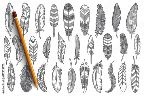 Hand drawn feather doodle set with blue lettering in vector