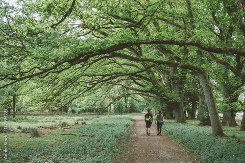 Green Way photo