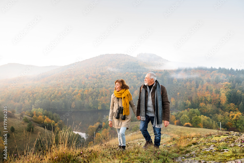 Senior couple on a walk in an autumn nature. - obrazy, fototapety, plakaty 