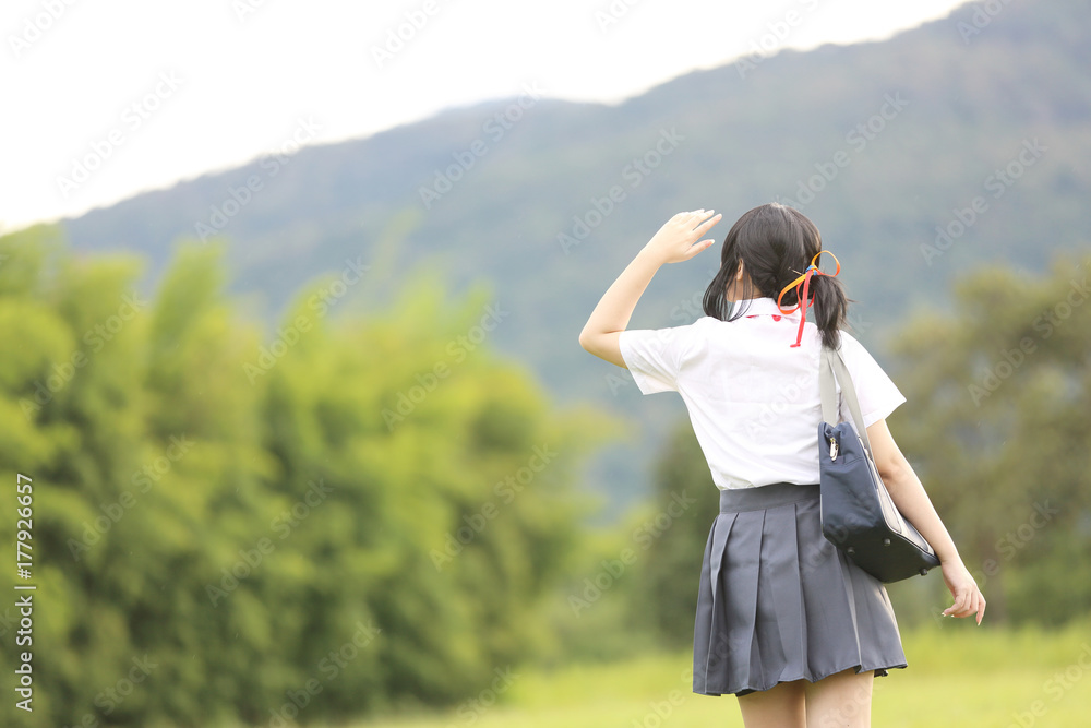 Japanese school in countryside with grass mountain and tree
