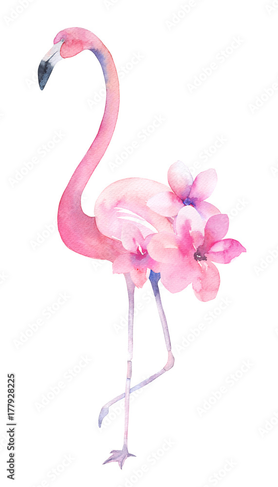 Obraz premium Watercolor exotic flamingo. Summer decoration print for wrapping, wallpaper, fabric, card