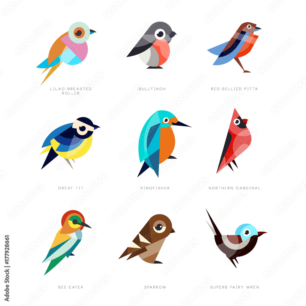 Different birds set, lilac breasted roller, bullfinch, red bellied pitta, great tit, kingfisher, northern bee eater, sparrow, superb fairy wren vector Illustrations Stock Vector | Adobe Stock