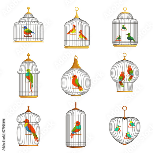 Colorful birds in cages set vector Illustrations