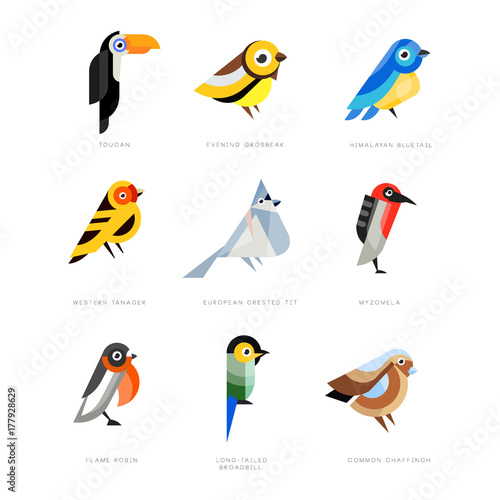 Collection of birds, lilac breasted roller, bullfinch, red bellied pitta, great tit, kingfisher, northern cardinal, bee eater, sparrow, superb fairy vector Illustrations
