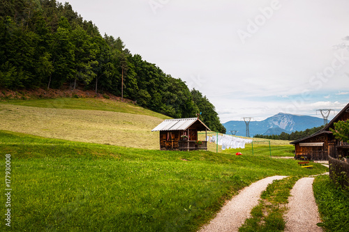 Obraz na plátně Vita in trentino