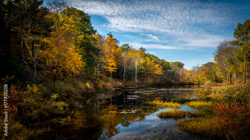 Vibrant and colorful fall foliage being reflected in a small pond on a sunny autumn afternoon