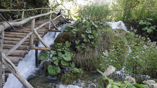 amazing landscape at the plitvice lakes in croatia