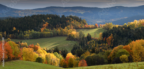 Fényképezés Touch of soft light on gentle rolling hills with trees in vivid autumn colours,