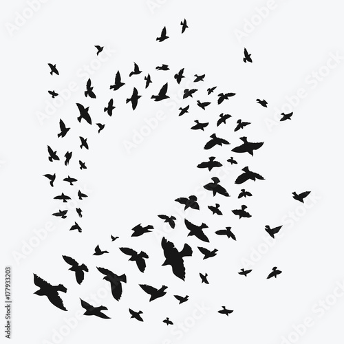 Silhouette of a flock of birds. Black contours of flying birds. Flying pigeons. Tattoo.