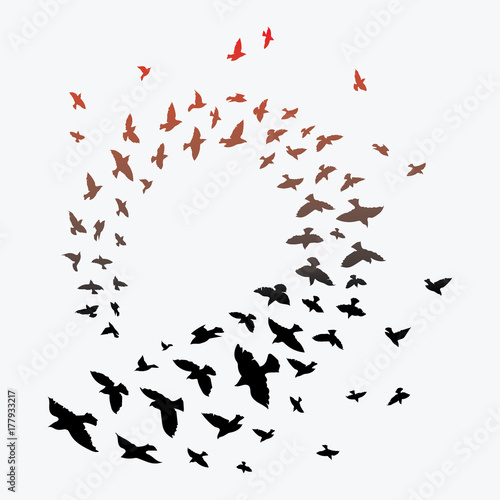 Silhouette of a flock of birds. Black contours of flying birds. Flying pigeons. Tattoo.