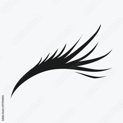Logo of eyelashes. Stylized hair. Abstract lines of triangular shape. Black and white vector illustration. photo