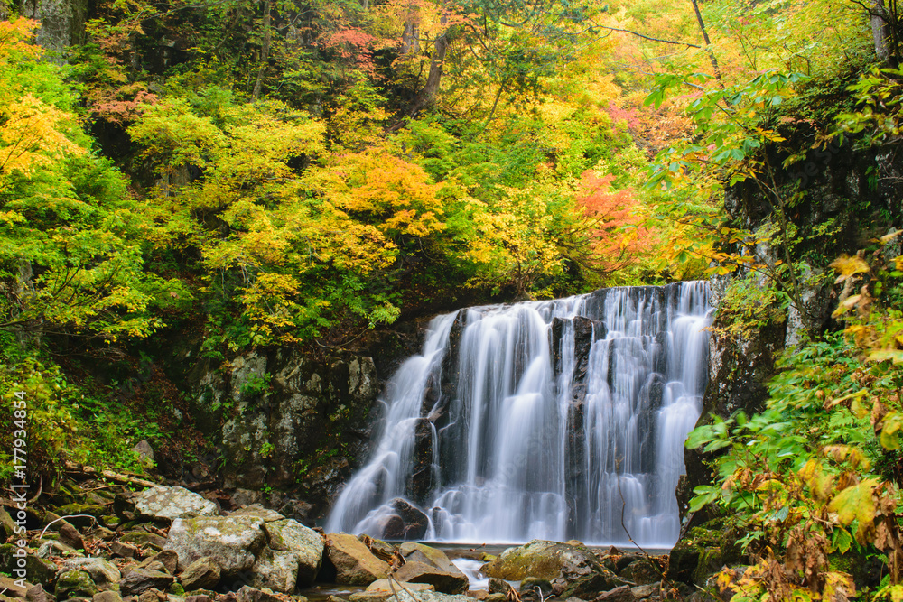 Obraz premium 二の滝