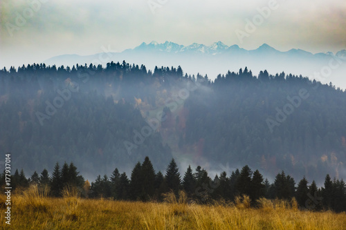 Autumn mountain landscape with fog