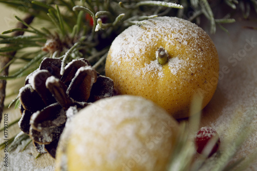 Christmas Still Life with spruce, pine cones and berries