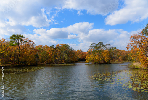 北海道 大沼国定公園の紅葉