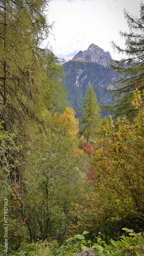 Schweiz Graubünden Unterengadin 24 photo