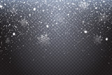 First snow. Realistic falling snowflakes isolated on transparent background. Winter decoration element for your christmas design. Vector illustration.