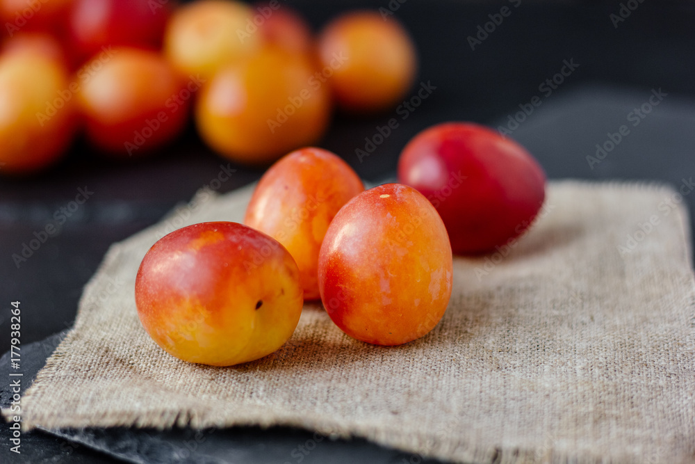 Hip of orange and red wild plums on piece of textile. Hip of orange and red wild plums on piece of textile.