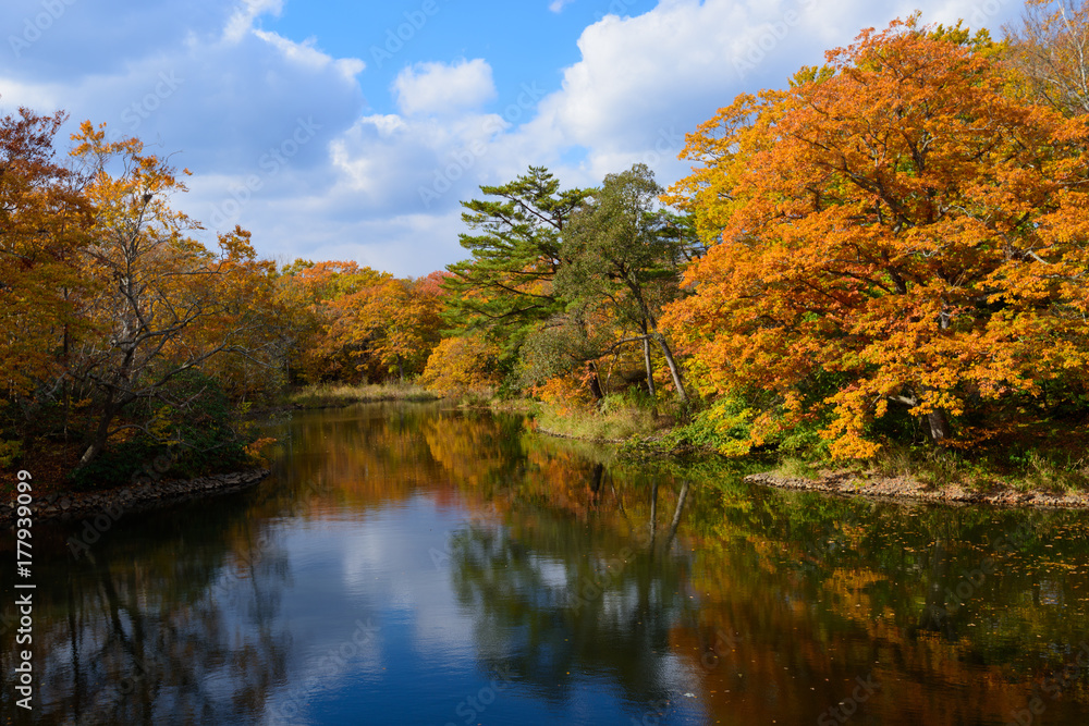 北海道　大沼国定公園の紅葉