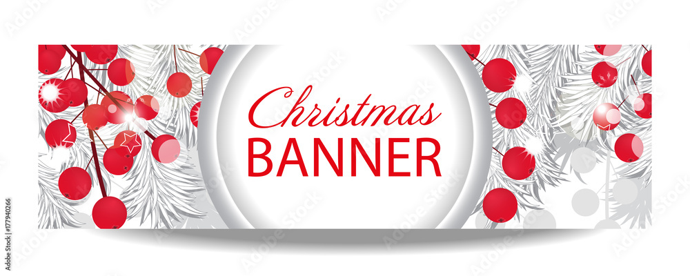Christmas and New Year banner with white fir branches and holly berries. Illustration with place for your text.