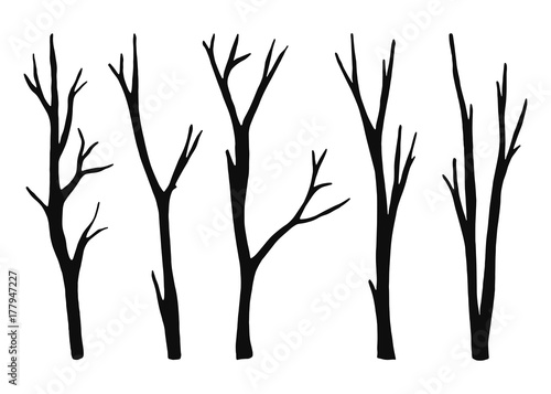twigs from the tree are dry isolated. vector black silhouettes. illustration on white background