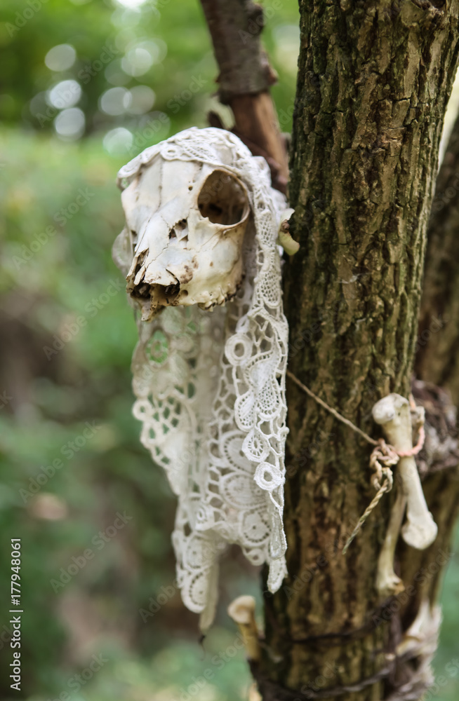 witch altar in tree with animal scull witch altar in tree with animal scull