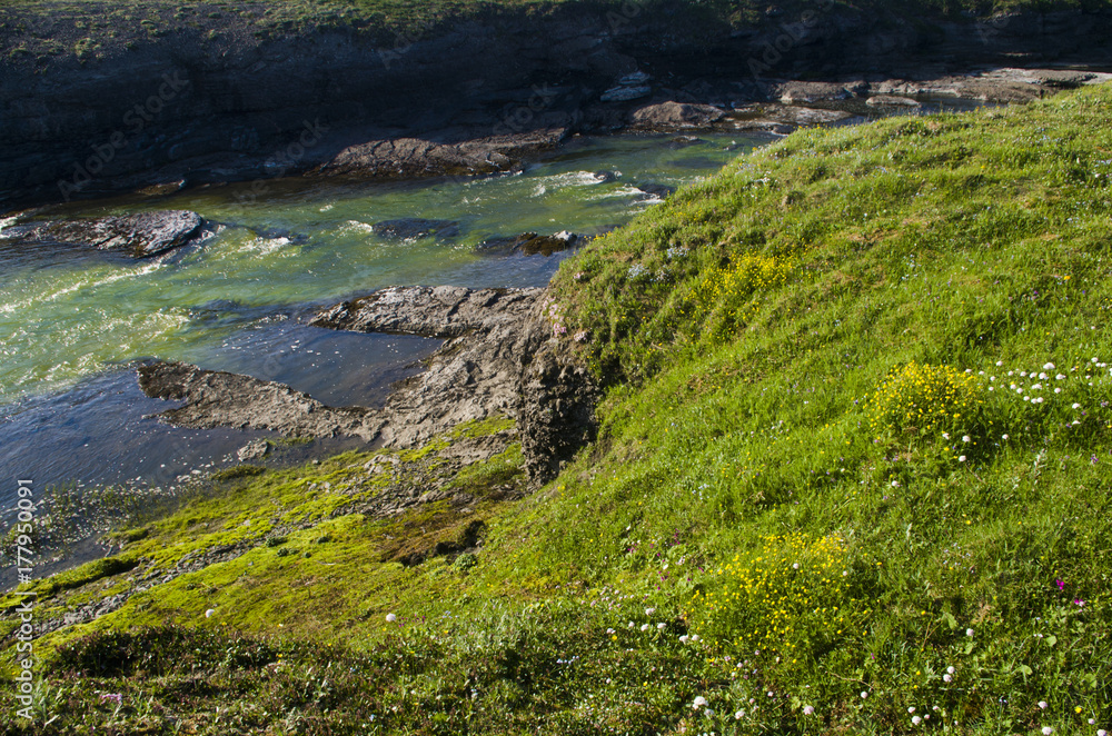 Arctic landscape, a river with green water in the tundra among stones and flowers Arctic landscape, a river with green water in the tundra among stones and flowers