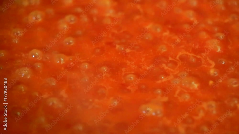 Cooking delicious tomato sauce closeup Cooking delicious tomato sauce closeup