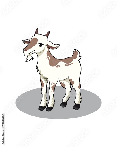 Little cute goat-vector drawing-isolated white background