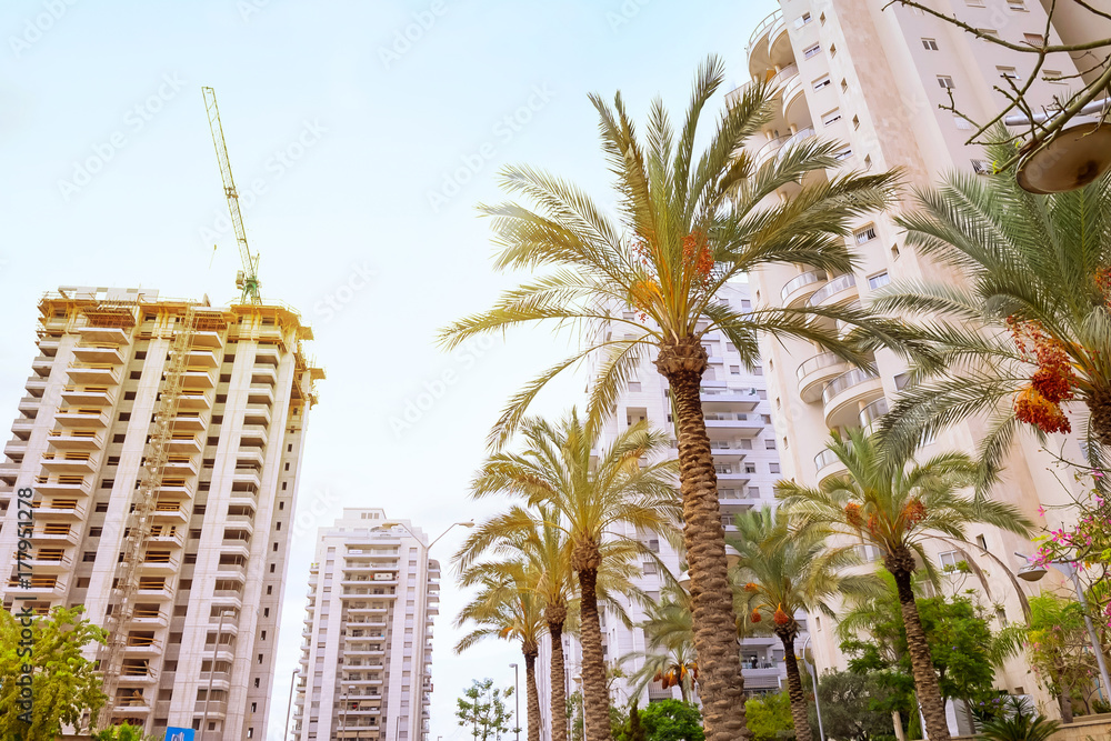 Construction site of east. Industrial tower crane with unfinished high raised buildings surrounded with ready for settlement apartments and date palms. Modern civil engineering.