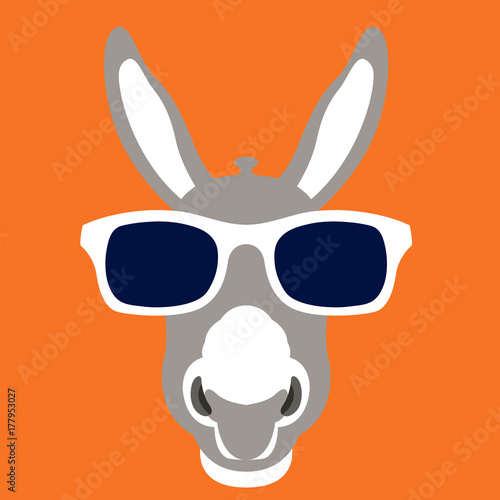 Fototapeta donkey face in glasses vector illustration style flat