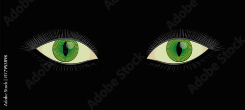 Green human cats eyes with slit pupils - beautiful, spooky, female mystic fantasy creature looking at you from darkness. Vector illustration on black background.