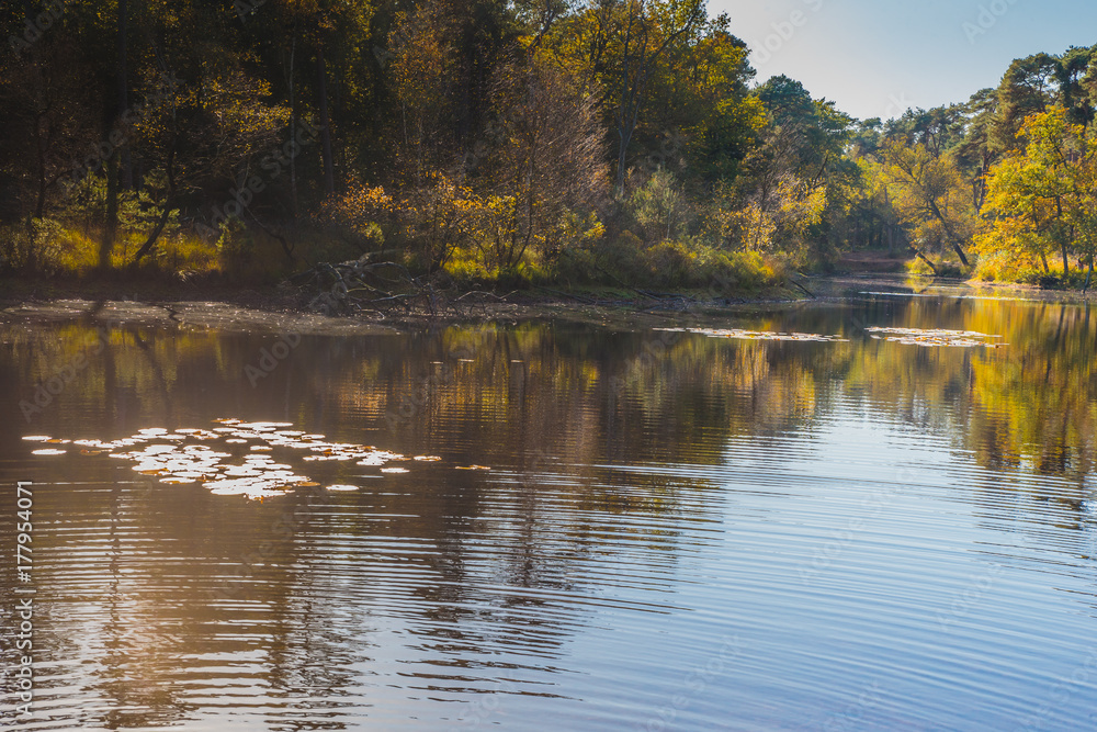 Fototapeta premium Groot Goorven, Oisterwijkse vennen