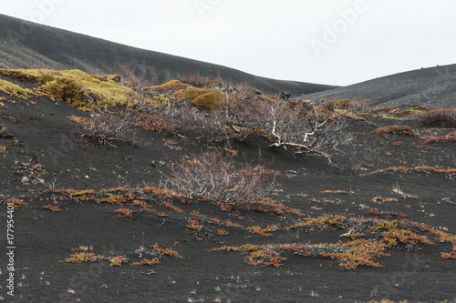 Volcanic landscape