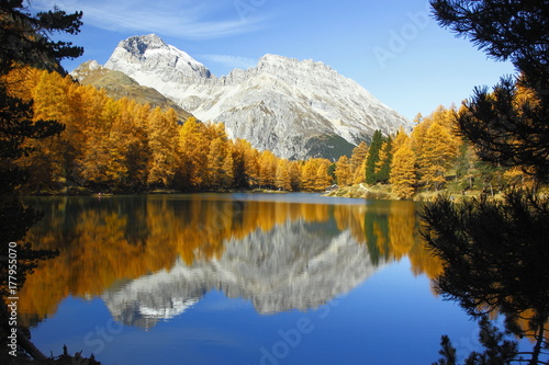 Schilderij op canvas Palpuogna See gegen Piz Ela
im goldenen Oktober
