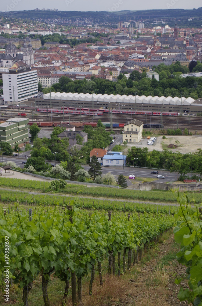 ビュルツブルクのワイン畑