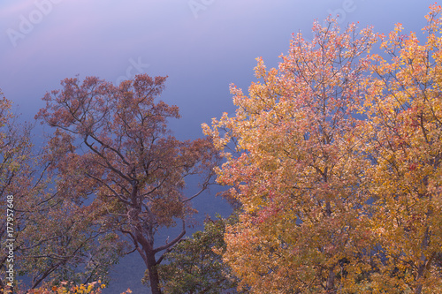 Fototapeta Naklejka Na Ścianę i Meble -  Agnieszka Rodowicz