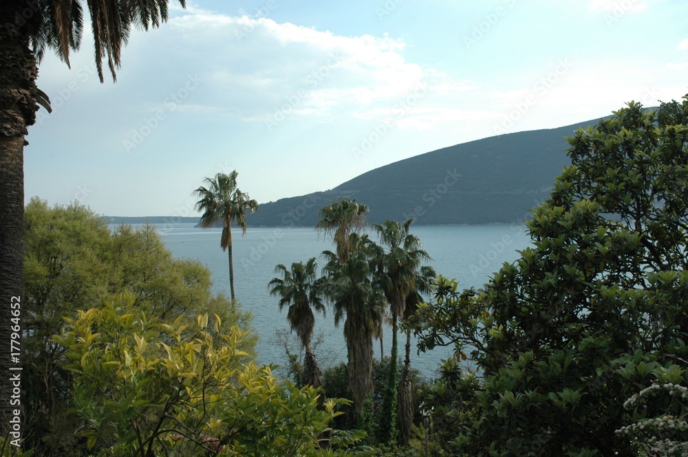 Bouche du kotor, Monténégro