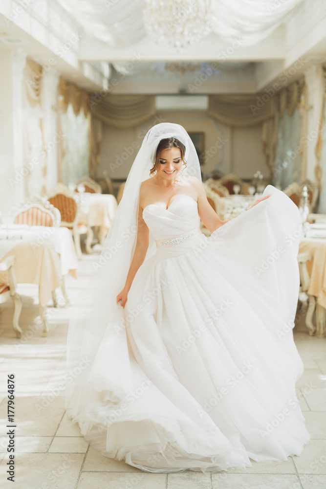Obraz premium Beautiful bride wearing fashion wedding dress with feathers with luxury delight make-up and hairstyle, studio indoor photo shoot