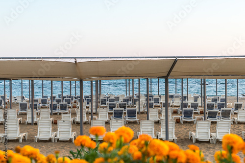 Fototapeta Naklejka Na Ścianę i Meble -  deckchairs by the sea on a sandy beach