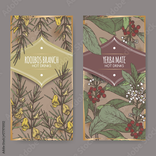 Set of two color labels with Rooibos aka Aspalathus linearis and Yerba mate aka Ilex paraguariensis branches.